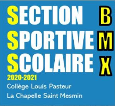 section section